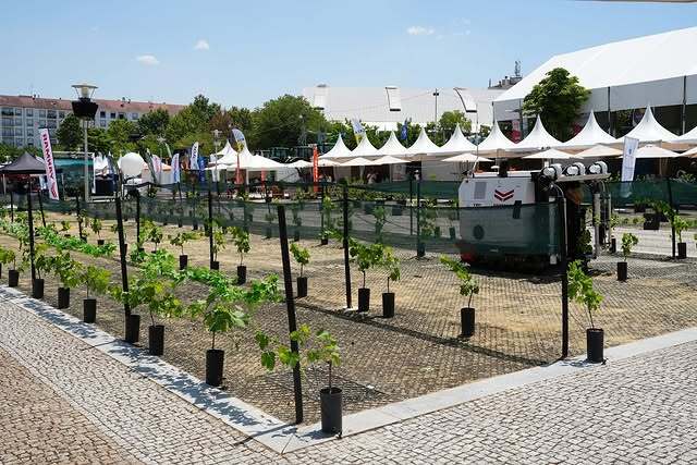 Feira Fundão